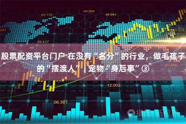 股票配资平台门户 在没有“名分”的行业，做毛孩子的“摆渡人” | 宠物“身后事”③