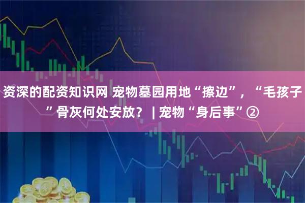 资深的配资知识网 宠物墓园用地“擦边”，“毛孩子”骨灰何处安放？ | 宠物“身后事”②